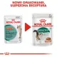 Royal Canin Instinctive +7 w sosie karma mokra dla kotów starszych, wybrednych saszetka 85g-2026531