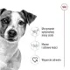 Royal Canin Mini Adult karma sucha dla psów dorosłych, ras małych 0,8kg-2026682