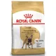 Royal Canin French Bulldog Adult karma sucha dla psów dorosłych rasy buldog francuski 3kg-2027196