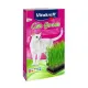Vitakraft Cat-Grass Trawa dla kota 120g [26547]-2027334