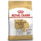 Royal Canin Jack Russell Terrier Adult karma sucha dla psów dorosłych rasy jack russell terrier 1,5kg-2028106
