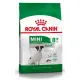 Royal Canin Mini Adult 8+ karma sucha dla psów starszych od 8 do 12 roku życia, ras małych 800g-2028160