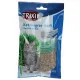 Trixie Trawa dla kota w woreczku 100g [4236]-2028376