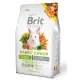 Brit Animals Rabbit Junior Complete 300g-2028662