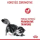 Royal Canin Digestive Care karma sucha dla kotów dorosłych, wspomagająca przebieg trawienia 400g-2029068