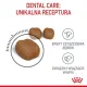 Royal Canin Dental Care karma sucha dla kotów dorosłych, redukująca odkładanie kamienia nazębnego 1,5kg-2029163
