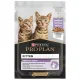 Purina Pro Plan Cat Kitten saszetka 4x85g 3+1 gratis-2029419