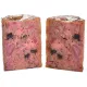 Carnilove Dog Wild Meat Salmon & Turkey Adult - łosoś i indyk puszka 400g-2029779