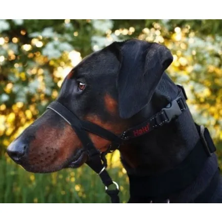 Halti Kantarek - obroża uzdowa rozmiar 3 czarna-2030031