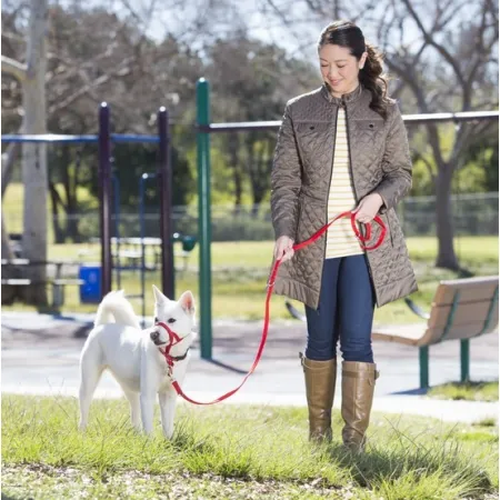 Halti Kantarek - obroża uzdowa rozmiar 3 czarna-2030034