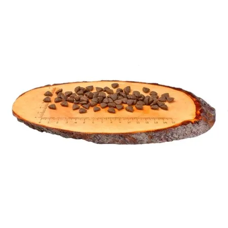 Carnilove Cat Reindeer Energy & Outdoor - renifer 6kg-2030072