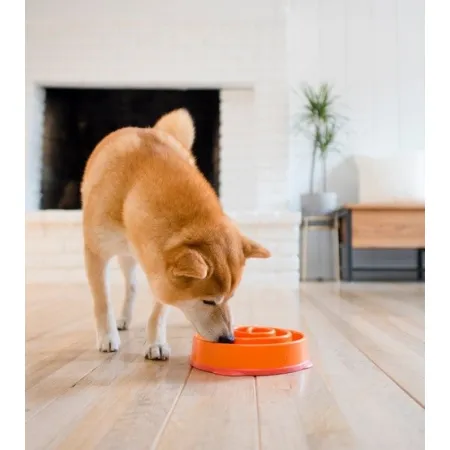 Outward Hound Fun Feeder Mini Miska spowalniająca pomarańczowa [51004]-2030157