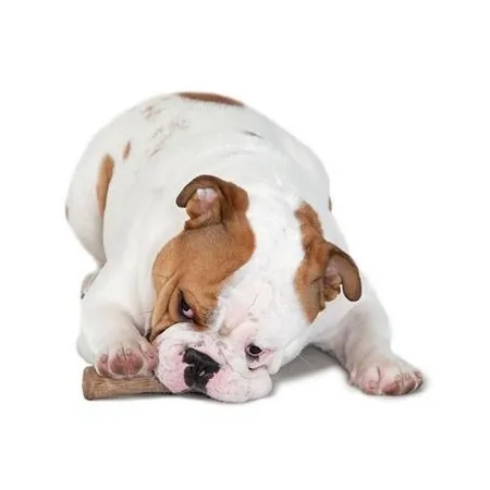 Petstages DogWood medium patyk PS218-2030240