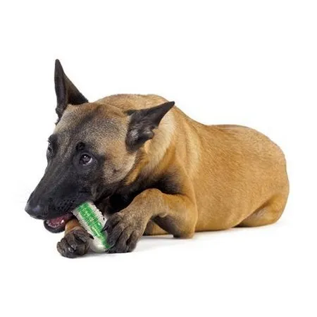 Petstages CrunchCore petite PS263-2030256