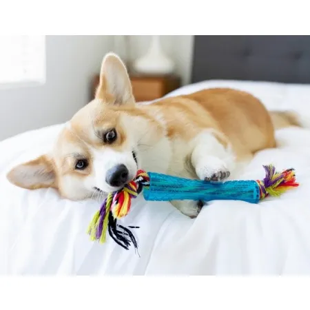 Petstages Orka Rurka z supłami PS220-2030265