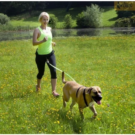 Dingo Smycz do biegania - taśma z amortyzatorem 170cm z karabińczykami czarna-2030355