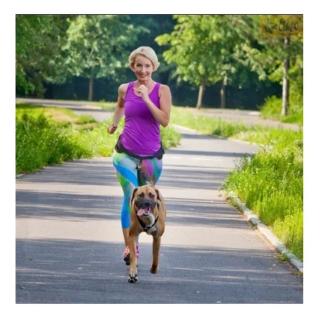 Dingo Pas do biegania Profi - 4 możliwości zapinania-2030360