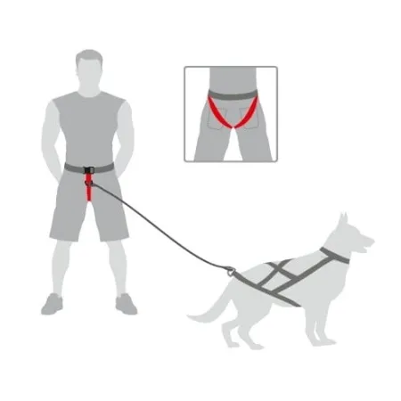 Dingo Pas do biegania Profi - 4 możliwości zapinania-2030363