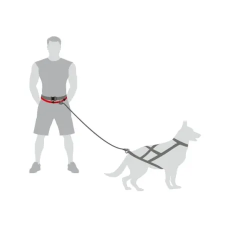 Dingo Pas do biegania Profi - 4 możliwości zapinania-2030364