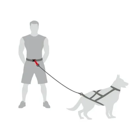 Dingo Pas do biegania Profi - 4 możliwości zapinania-2030365