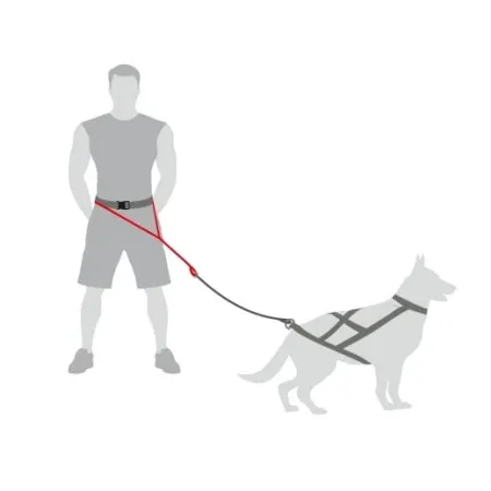 Dingo Pas do biegania Profi - 4 możliwości zapinania-2030366