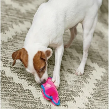 Outward Hound Invincibles Minis Pig [32013]-2030556