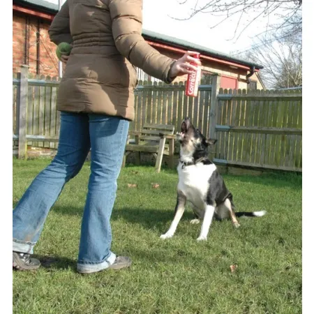 Pet Corrector 200ml-2030618