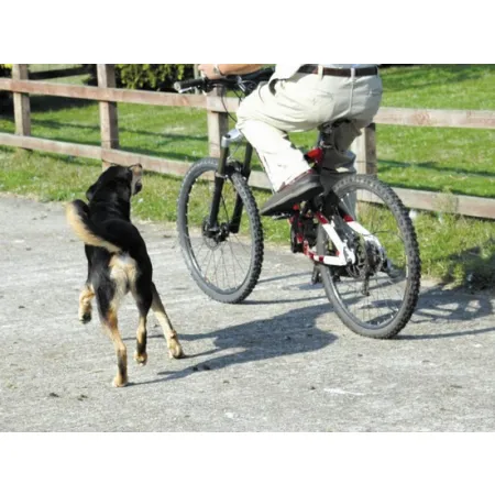 Pet Corrector 200ml-2030619