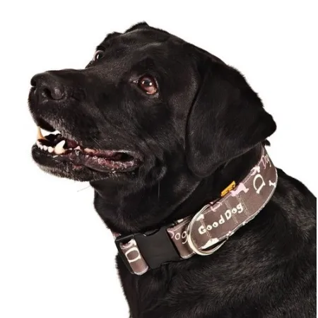 Dingo Obroża regulowana America Nevada 2,0cm/45cm-2030637