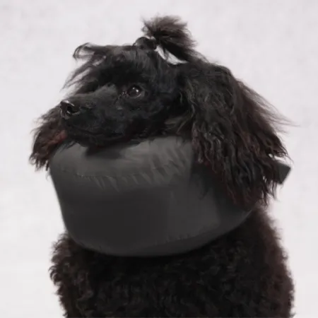 Grande Finale Kołnierz pooperacyjny rozmiar 7 [WET/K/7]-2031018