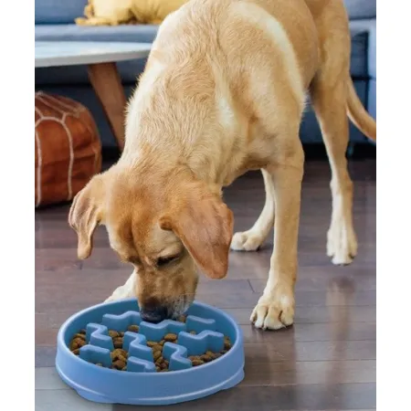 Outward Hound Fun Feeder Miska spowalniająca niebieska [67831]-2031275