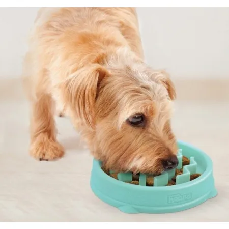 Outward Hound Fun Feeder Tiny (XS) Miska spowalniająca miętowa [67829]-2031477