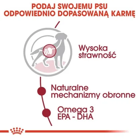 Royal Canin Medium Adult karma mokra w sosie dla psów dorosłych, ras średnich saszetika 140g-2031517