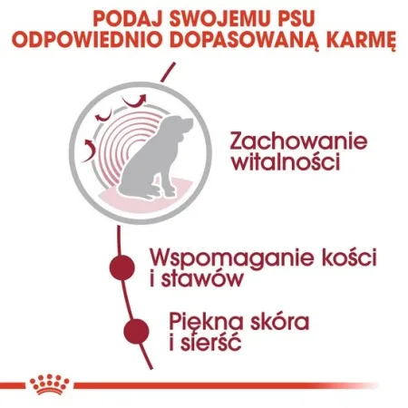 Royal Canin Medium Ageing 10+ karma mokra w sosie dla psów dojrzałych po 10 roku życia, ras średnich saszetka 140g-2