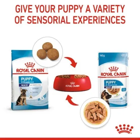 Royal Canin Maxi Puppy karma mokra w sosie dla szczeniąt, od 2 do 15 miesiąca życia, ras dużych saszetka 140g-203152