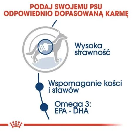Royal Canin Maxi Adult karma mokra w sosie dla psów dorosłych, do 5 roku życia, ras dużych saszetka 140g-2031532