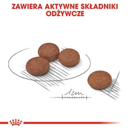 Royal Canin Mini Digestive Care karma sucha dla psów dorosłych, ras małych o wrażliwym przewodzie pokarmowym 3kg-203