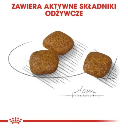Royal Canin Mini Urinary Care karma sucha dla psów dorosłych, ras małych, ochrona dolnych dróg moczowych 1kg-2031666