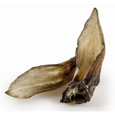 Balto Ucho sarny 5szt