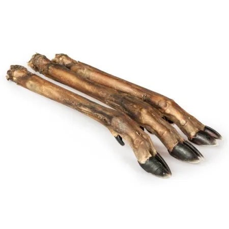 Balto Racica sarny 5szt-2031673