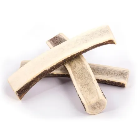 4DOGS Gryzak z poroża M easy-2031775