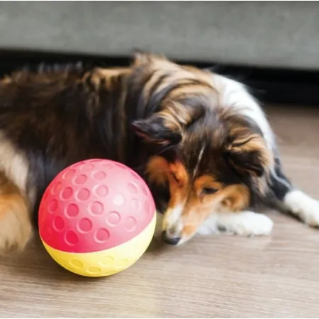 Nina Ottosson Dog Treat Tumble Large 13cm - gra edukacyjna [67327]-2031900