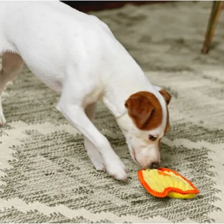 Outward Hound Invincibles Minis Waleczny pisklak 67805-2031961