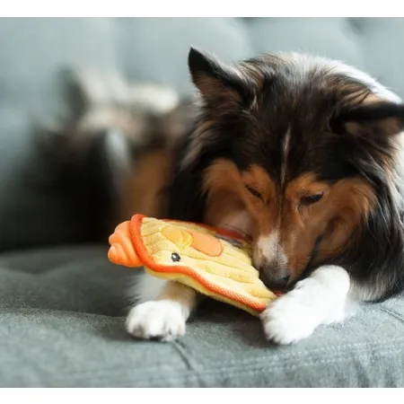 Outward Hound Invincibles Minis Waleczny pisklak 67805-2031962