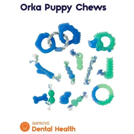 Petstages Grow With Me Ring PS68028-2031976