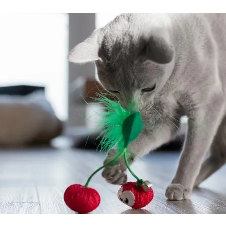 Petstages Cherry Dental dla kota [PS67833]-2031978