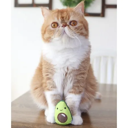 Petstages Lil' Avocato dla kota [PS67840]-2031984