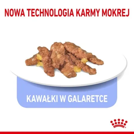 Royal Canin Indoor Sterilised Jelly karma mokra dla kotów dorosłych sterylizowanych, przebywających w domu saszetka 8