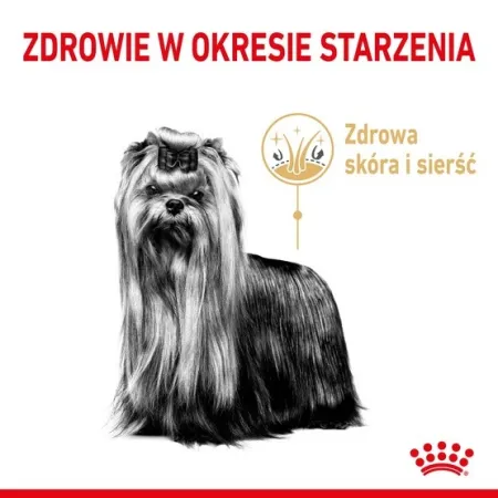 Royal Canin Yorkshire Terrier Adult 8+ karma sucha dla psów starszych rasy yorkshire terrier 1,5kg-2032257