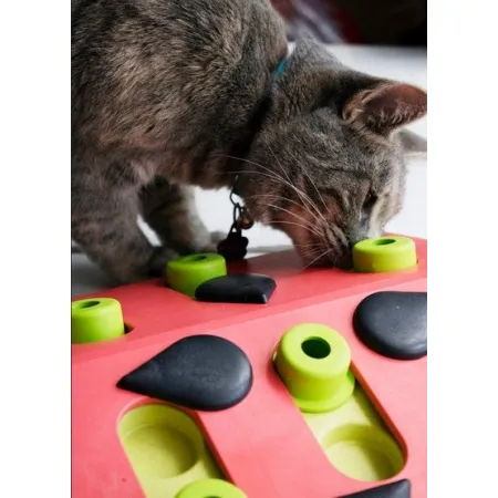 Nina Ottosson Cat Melon Madness Puzzle & Play - gra edukacyjna dla kotów-2032437